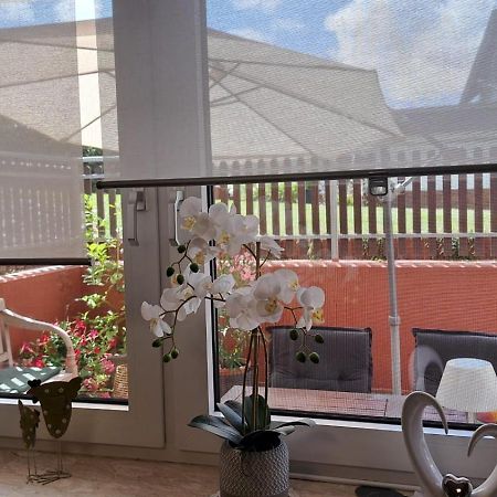 Ferienwohnung Am Reitersgaesschen Blankenrath Екстериор снимка